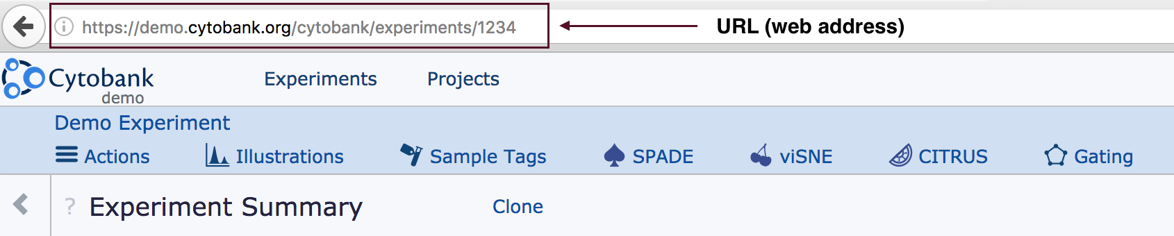 finding-ids-in-cytobank-via-the-url-bar-cytobank